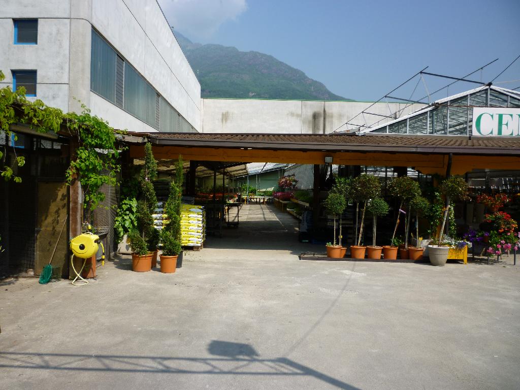 CENTRO_VERDE_CAPO_DI_PONTE_(3)