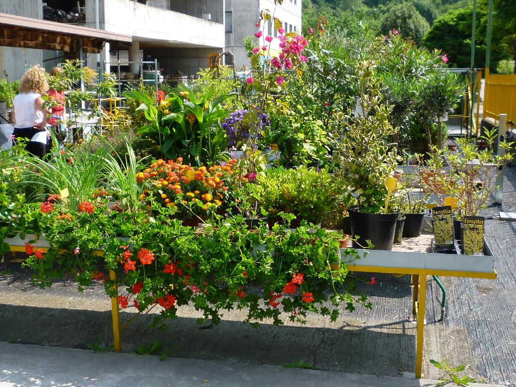 CENTRO_VERDE_CAPO_DI_PONTE_(4)