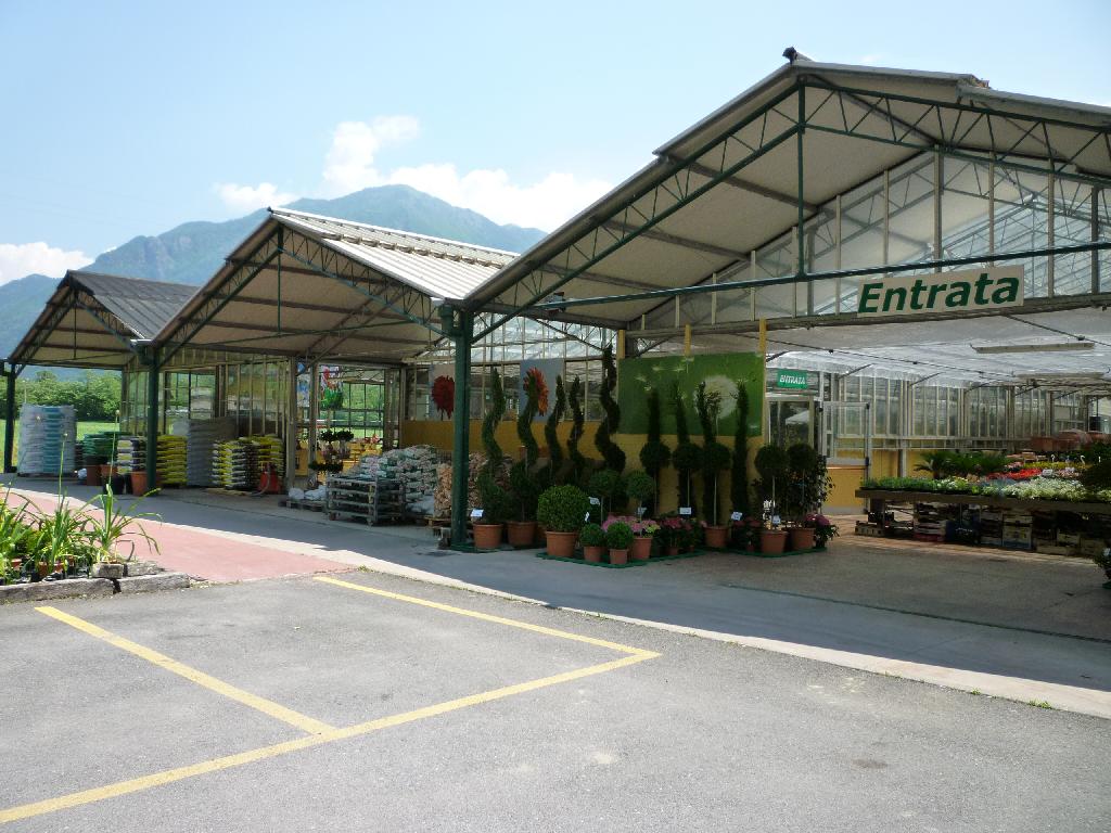 foto_per_sito_serra_010